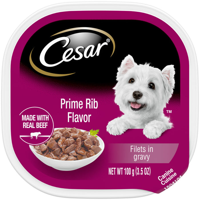 Cesar Filets in Gravy Adult Wet Dog Food Prime Rib, 24ea/3.5 oz, 24 pk