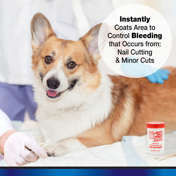 Four Paws Antiseptic Pet Blood Stopper Powder for Dogs, Cats, and Birds 1ea/0.5 oz