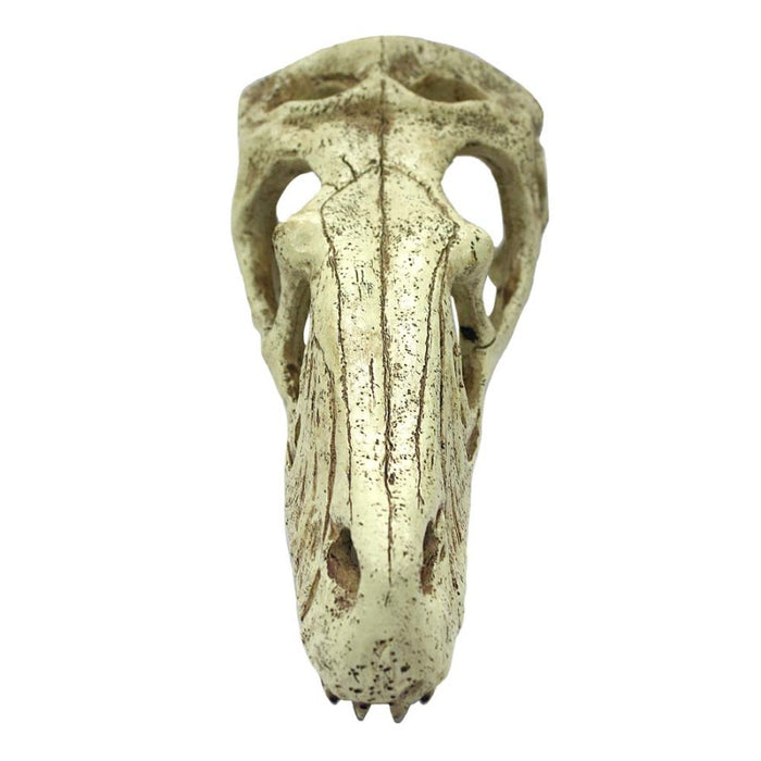 Komodo Raptor Skull Reptile Hideout Tan, 1ea/LG