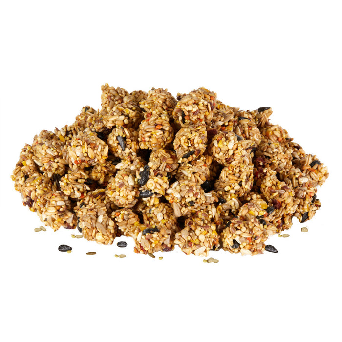 Kaytee Granola Bites with Superfoods Cranberry, Apple and Flax, 1ea/4.5 oz