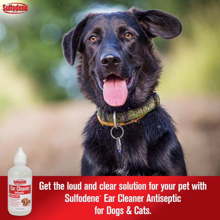 Sulfodene Ear Cleaner for Dogs & Cats 1ea/4 oz