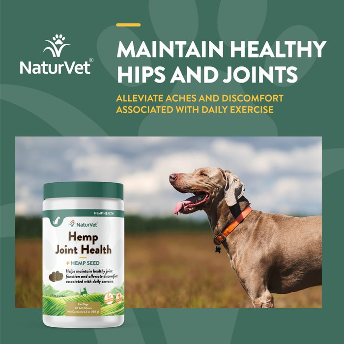 NaturVet Hemp Joint Health Soft Chews 1ea/60 ct