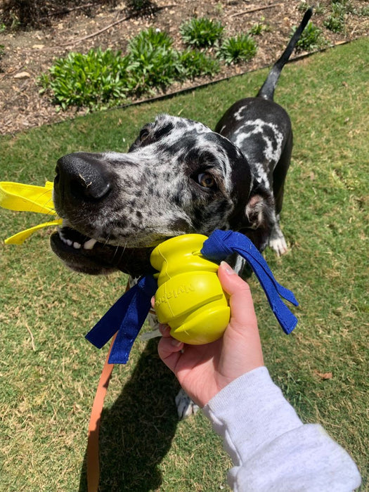 Nylabone Power Play Dog Fetch Toys Fling-a-Bounce 1ea/Large