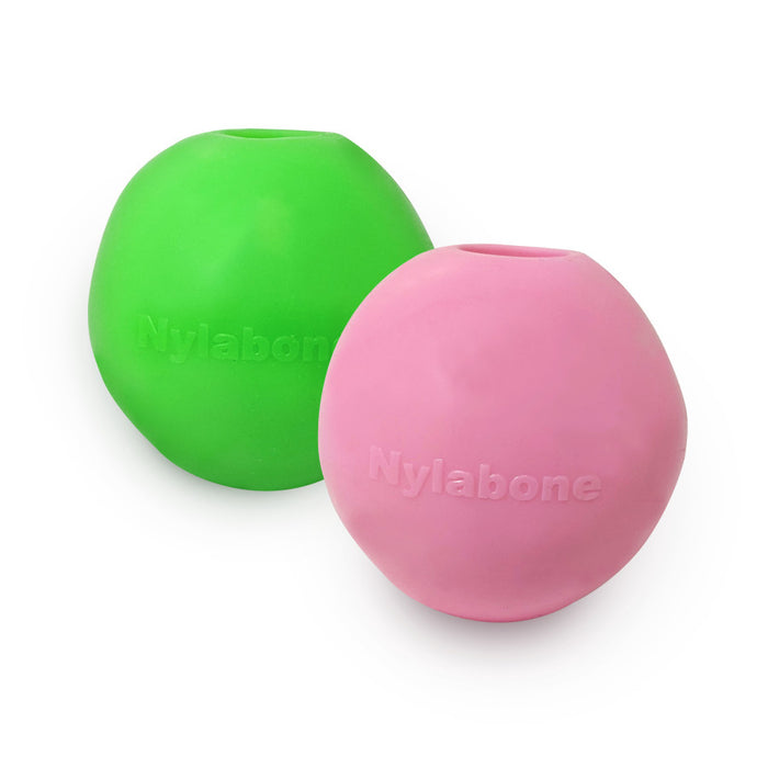 Nylabone Power Play Gum-a-Ball toy for Dogs 1ea/2 ct