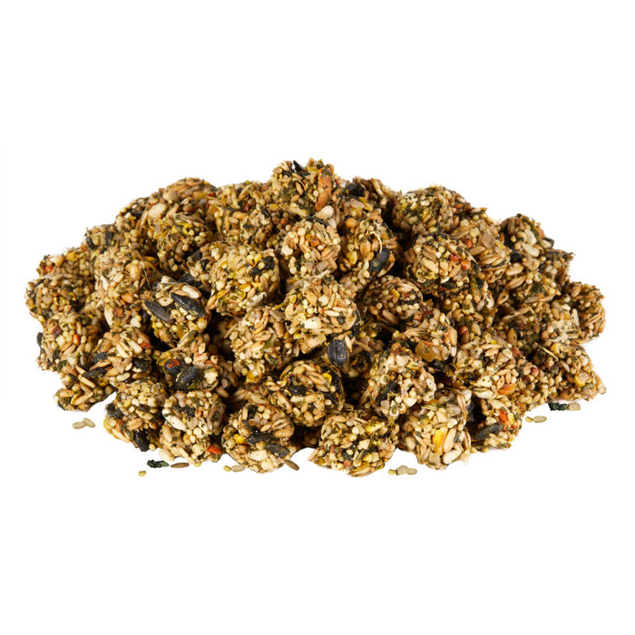 Kaytee Granola Bites with Superfoods Spinach and Carrot, 1ea/4.5 oz