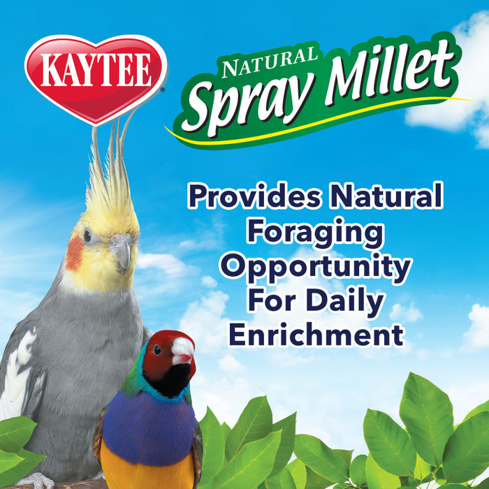 Kaytee Spray Millet for Birds 1ea/3 oz