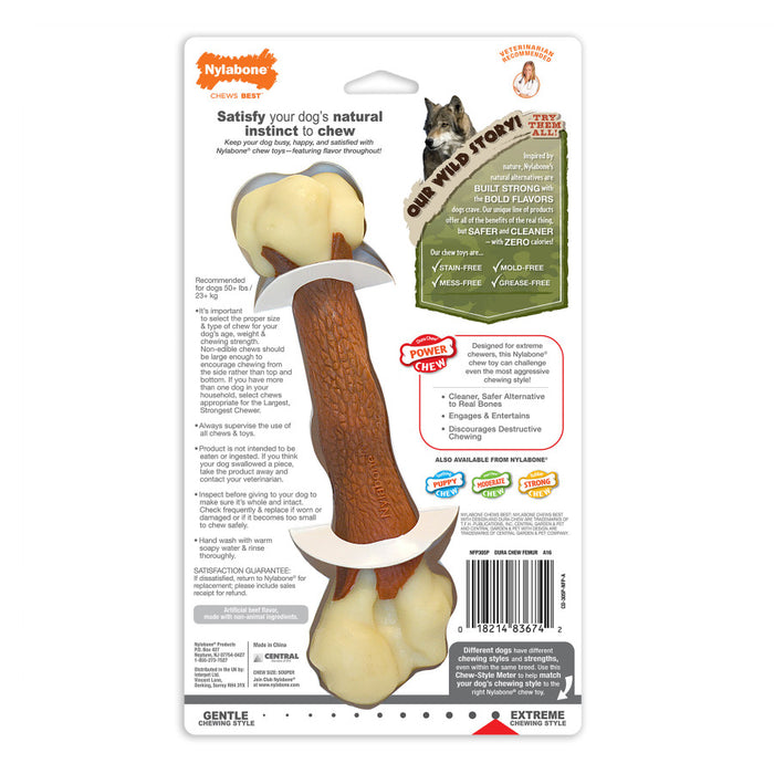 Nylabone Femur Bone Rawhide Alternative Power Chew Durable Dog Toy Beef, 1ea/Large - Up To 50 lb