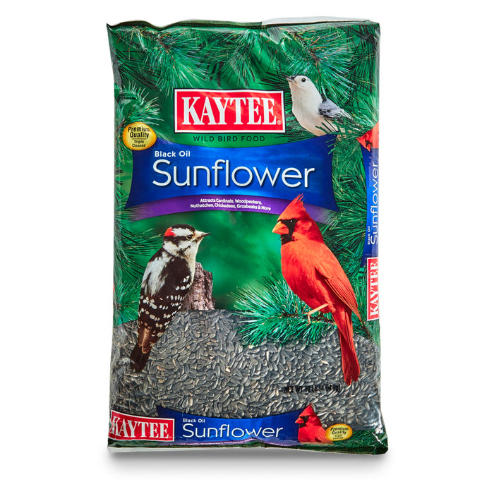 Kaytee Black Oil Sunflower Food 1ea/10 lb