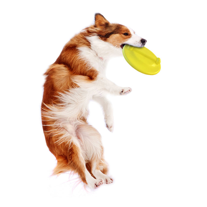 Nylabone Power Play Ultra Glider Gripz Dog Flying Disc 1ea/Large