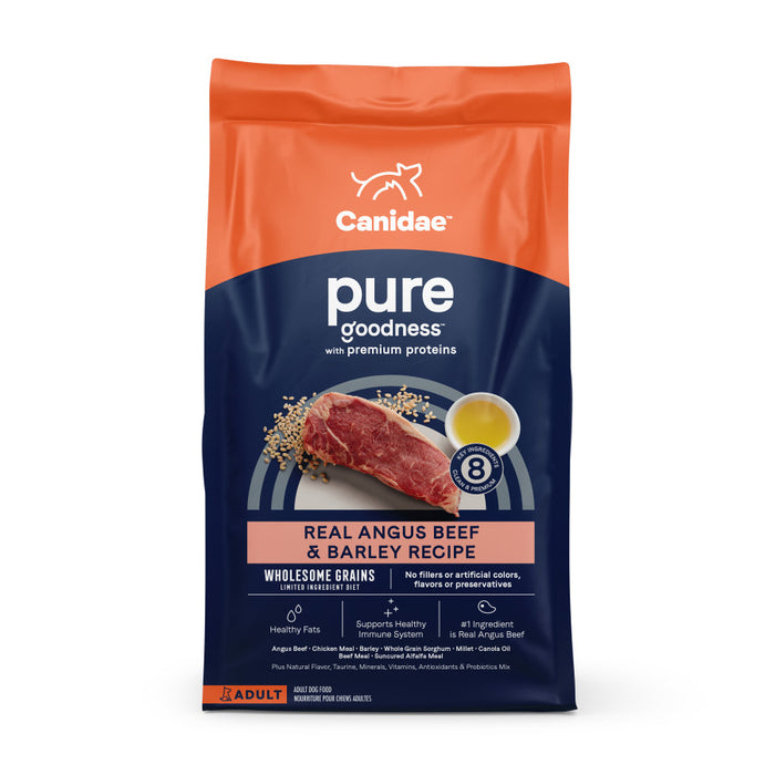 CANIDAE PURE Goodness w/Wholesome Grains Dry Dog Food Beef & Barley, 1ea/4 lb