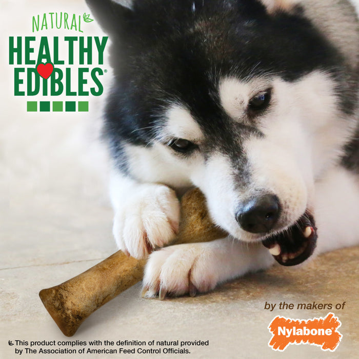 Nylabone Healthy Edibles All-Natural Long Lasting Roast Beef Flavor Chew Treats Roast Beef, 1ea/XL - 50+ lb, 2 ct