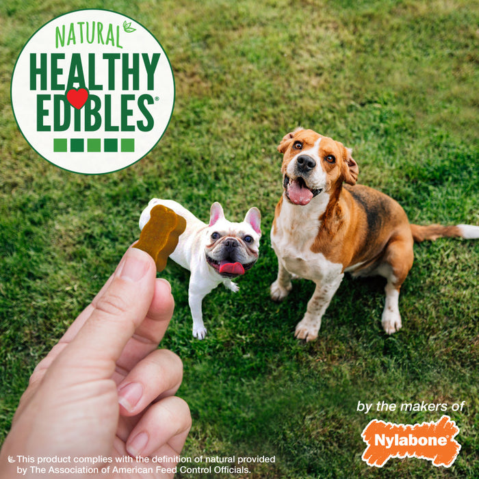 Nylabone Healthy Edibles Chewy Bites Dog Training Treats Peanut Butter, 1ea/12 oz