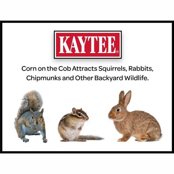 Kaytee Corn On A Cob Squirrels, Rabbits, Chipmunks 1ea/6.5 lb