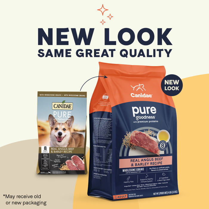 CANIDAE PURE Goodness w/Wholesome Grains Dry Dog Food Beef & Barley, 1ea/4 lb