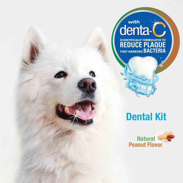 Nylabone Advanced Oral Care Natural Dog Dental Kit Peanut Butter, 1ea/3 ct