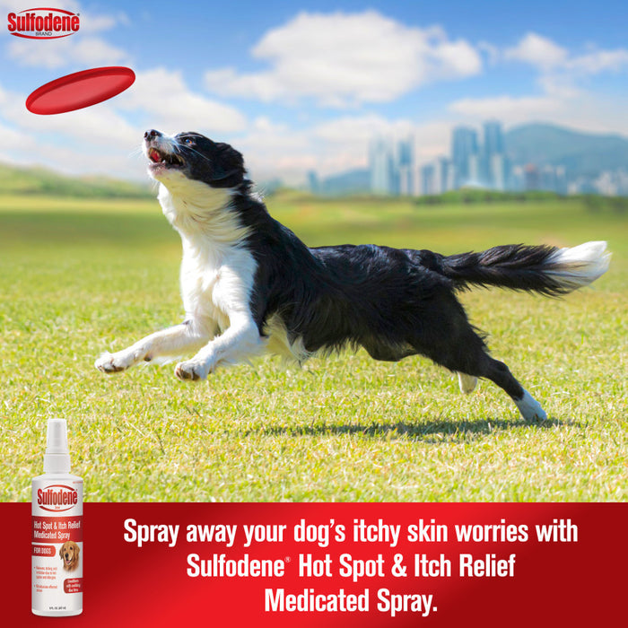 Sulfodene Hot Spot & Itch Relief Medicated Spray for Dog 1ea/8 oz