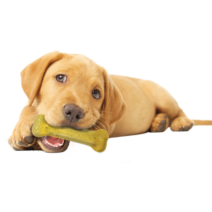 Nylabone Flex Moderate Chew Dog Toy 1ea/SMall - Up To 25 lb