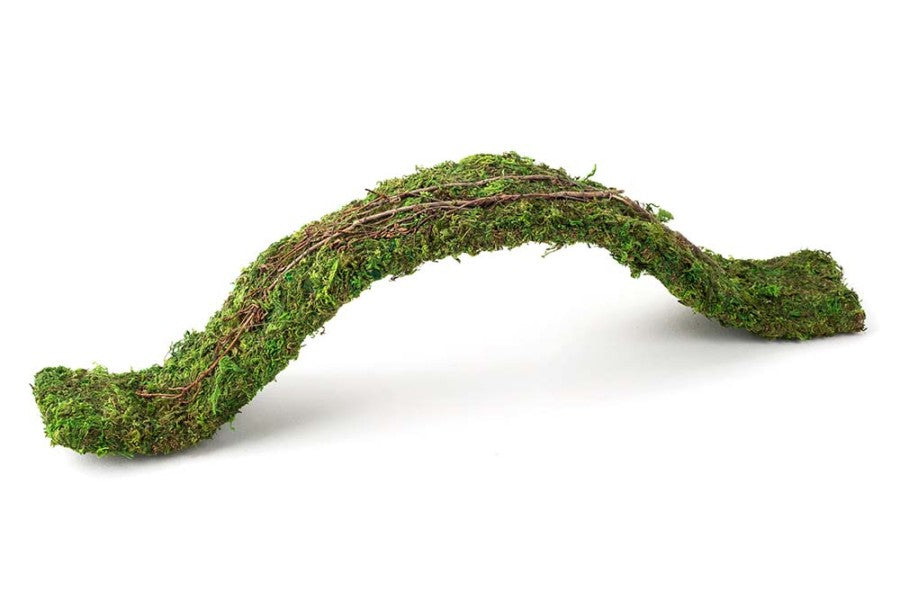 Galapagos Flexible Bridge Terrarium Ornament Fresh Green, 1ea/2 ft