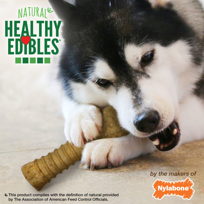 Nylabone Healthy Edibles All-Natural Long Lasting Peanut Butter Flavor Dog Chew Treats 1 Count, Peanut Butter, 1ea/XL/Souper