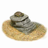 Zilla Basking Platform Filter 1ea/20 gal