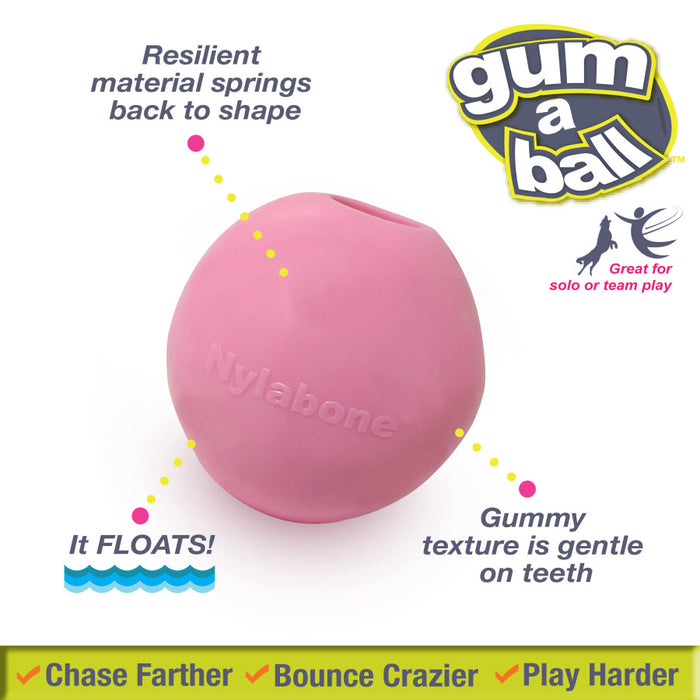 Nylabone Power Play Gum-a-Ball toy for Dogs 1ea/2 ct