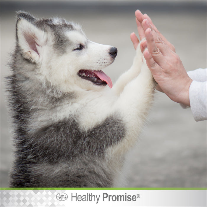 Four Paws Healthy Promise Pet Dog Paw Protection Paw Guard, 1ea/1.75 oz