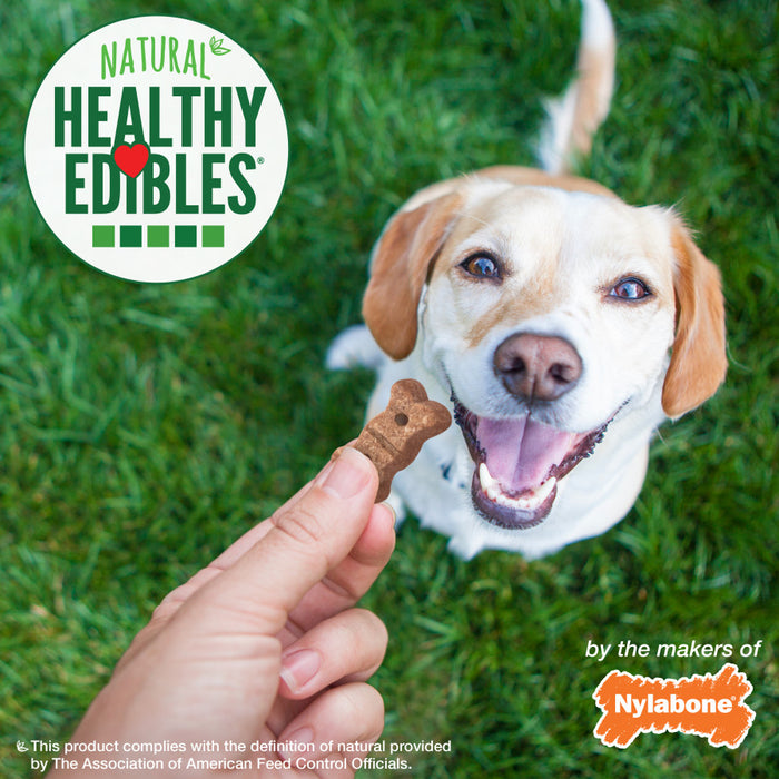 Nylabone Healthy Edibles Biscuits Grain Free Dog Treats Salmon, 1ea/12 oz