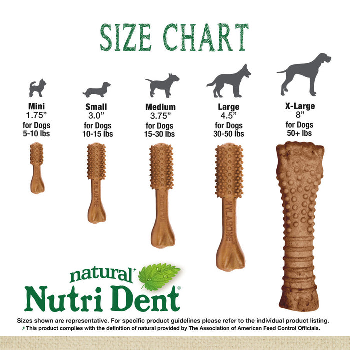 Nylabone Nutri Dent Filet Mignon Flavored Dog Dental Chews 1ea/XL - 50+ lb