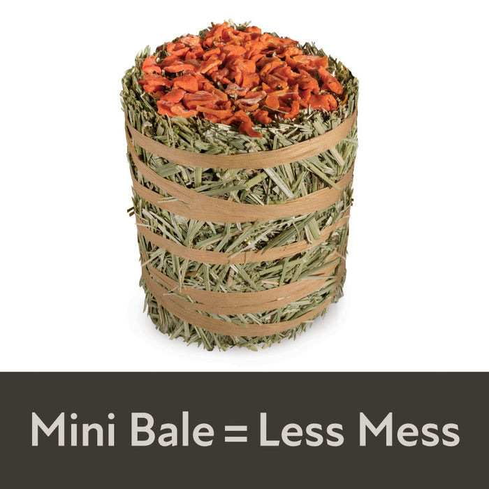 Kaytee Field+Forest Mini Hay Bale Carrot 1ea/3.5 oz