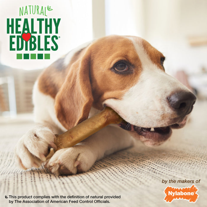 Nylabone Healthy Edibles All-Natural Long Lasting Bacon Flavor Chew Treats 1ea/Medium - Up To 30 lb, 7 ct