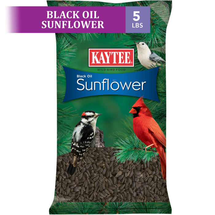 Kaytee Black Oil Sunflower Food 1ea/5 lb