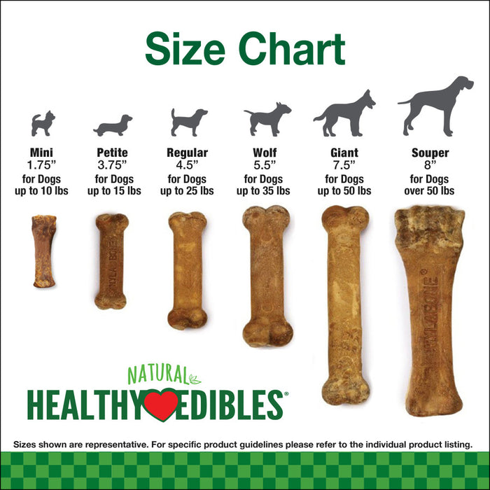 Nylabone Healthy Edibles All-Natural Long Lasting Bacon Flavor Chew Treats 2 count, 1ea/Petite - Up To 15 lb