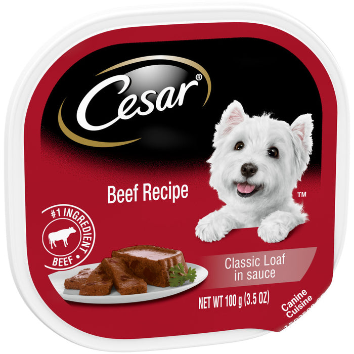 Cesar Classic Loaf in Sauce Adult Wet Dog Food Beef, 24ea/3.5 oz, 24 pk