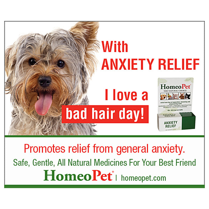 HomeoPet Anxiety Relief 1ea/15 ml