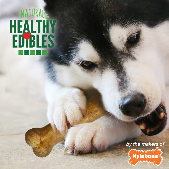 Nylabone Healthy Edibles All-Natural Long Lasting Roast Beef Flavor Chew Treats 2 count, 1ea/Wolf - Up To 35 lb