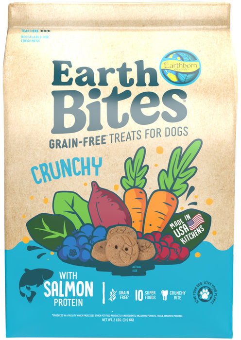 Earthborn Holistic EarthBites Crunchy Dog Treats Salmon & Pumpkin, 1ea/2 lb