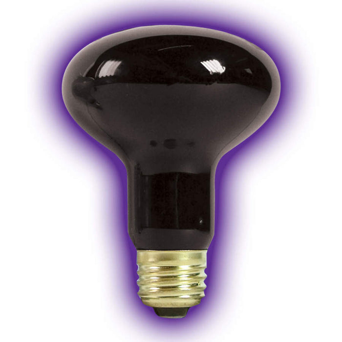 Zilla Incandescent Spot Bulbs Night Black, 1ea/75 W