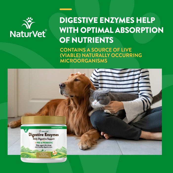 NaturVet Digestive Enzymes Plus Pre & Probiotic Powder 1ea/8 oz