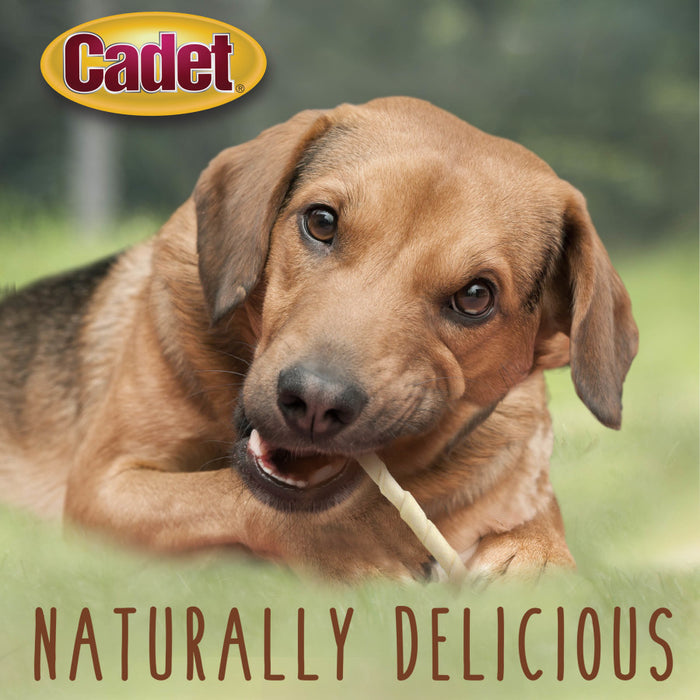 Cadet Premium Grade Beef Hide Twist Sticks Twist Sticks, Original, 1ea/5 in (100 ct)