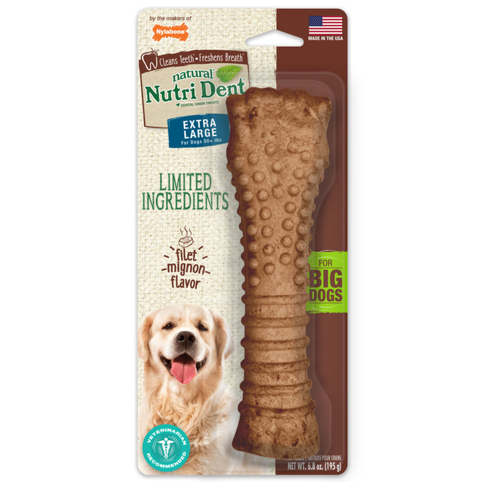 Nylabone Nutri Dent Filet Mignon Flavored Dog Dental Chews 1ea/XL - 50+ lb