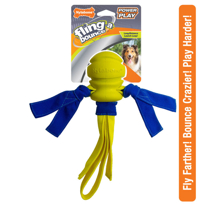 Nylabone Power Play Dog Fetch Toys Fling-a-Bounce 1ea/Large