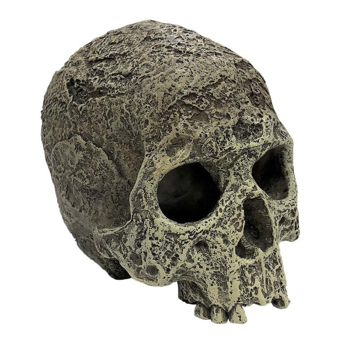 Komodo Textured Human Skull Reptile Hideout Gray, 1ea/One Size