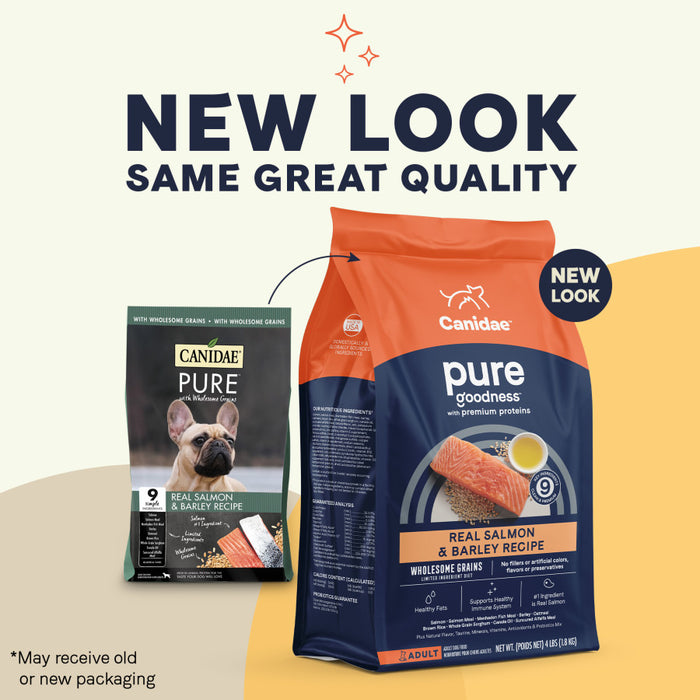 CANIDAE PURE Goodness w/Wholesome Grains Dry Dog Food Salmon & Barley, 1ea/22 lb