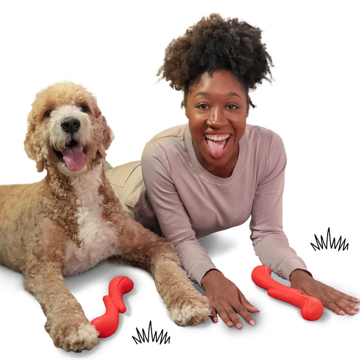 Nylabone Creative Play Stik-GO Dog Fetch Toy 1ea/Large