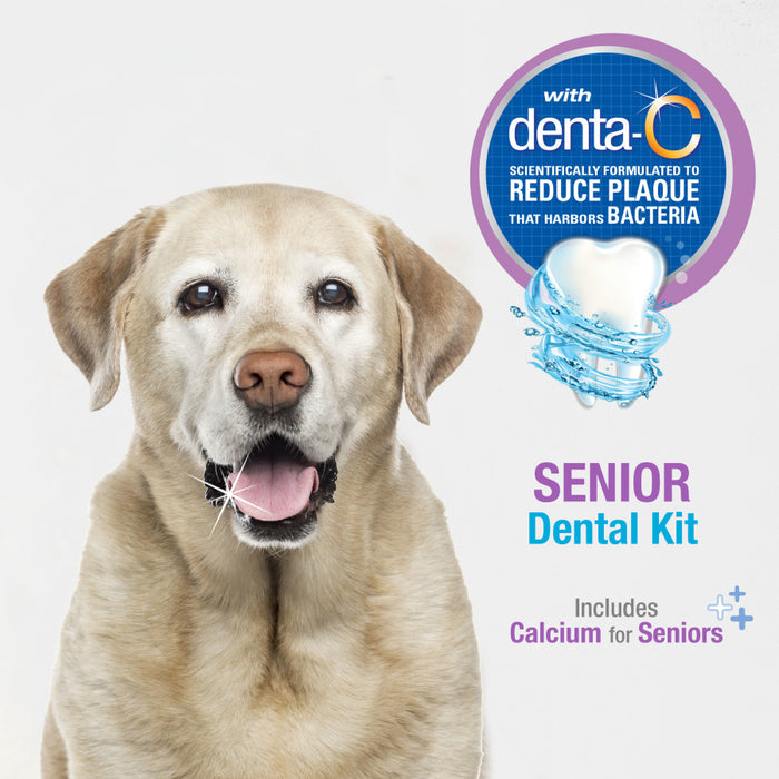 Nylabone Advanced Oral Care Senior Dog Dental Kit Bacon, 1ea/3 ct