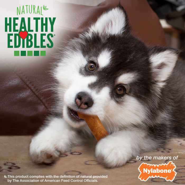 Nylabone Healthy Edibles Puppy Chew Treats Turkey & Sweet Potato, 1ea/XS - Up To 15 lb, 8 ct