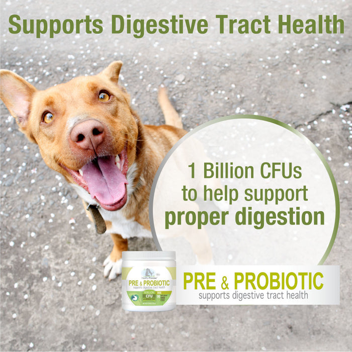 Four Paws Healthy Promise Pre and Probiotics for Dogs Soft Chews Pre and Probiotic, 1ea/90 ct