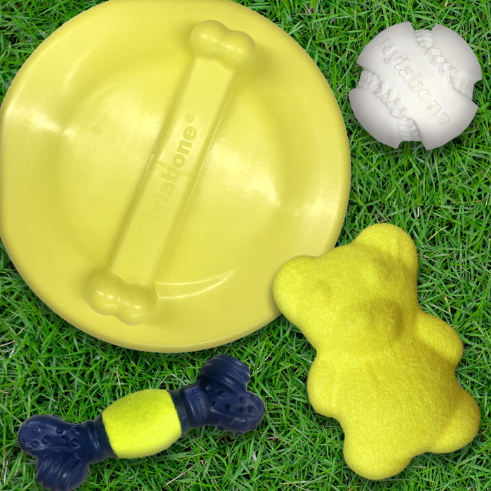 Nylabone Power Play Ultra Glider Gripz Dog Flying Disc 1ea/Large