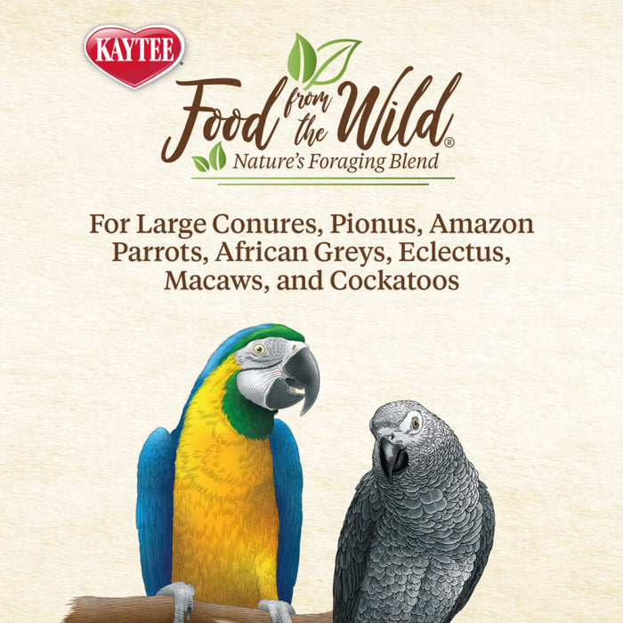 Kaytee Food from the Wild Natural Snack Med/Lrg Pet Bird 1ea/3 oz