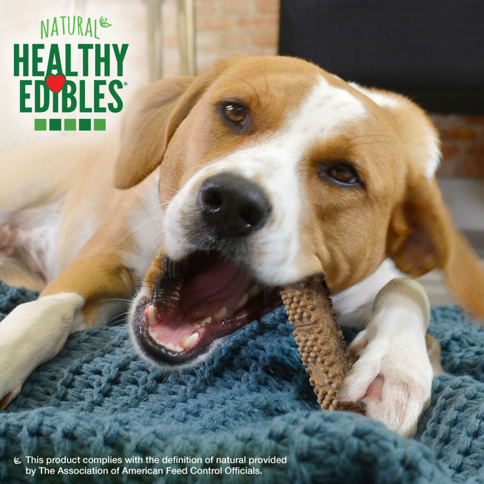 Nylabone Healthy Edibles Meaty Center Natural Dog Treats 1ea/Medium - Over 30 lb, 2 ct